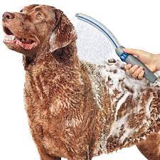 Waterpik Ppr 252 Pet Wand Pro Dog Shower Attachment For Indoor Outdoor Use 13 Blue Grey Check Out The Image By Visiting Dog Shower Dog Cleaning Dog Bath