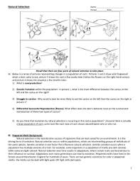 15 and have a completed application file by nov. Evolution By Natural Selection Worksheet Answers Key 12 Images Of Darwin S Natural Selection Worksheet Key