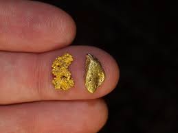 We did not find results for: Gold Prospecting In The Usa Where To Find Gold In All 50 States Raregoldnuggets Com