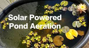 Check spelling or type a new query. Easy Diy Solar Pond Air Pump Odin Aquatics