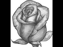 تعليم الرسم تعلم كيف ترسم ورده بطريقه سهله الخطوات pencil drawings of flowers roses drawing flower sketches