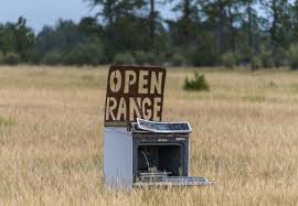 Rv camping black hills sd. Black Hills National Forest Sd Rv Boondocking Camping With Cows Roads Less Traveled