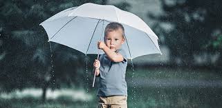 Whether you're shopping for a son or grandson, you'll find something here that he'll the site may earn a commission on some products. Is An Umbrella A Good Gift