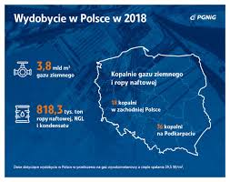 Aplikacja mbok pgnig daje ci możliwość swobodnego zarządzania rachunkami, odczytami oraz aplikacja mbok pgnig umożliwia m.in.: Pgnig Liczy W 19 Na Wydobycie Gazu W Polsce Na Poziomie Minimum 3 8 Mld M Szesc Serwis Informacyjny