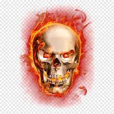 Check spelling or type a new query. Skull Drawing Flame Fire Combustion Painting Skeleton Bone Orange Flame Fire Skull Png Pngwing