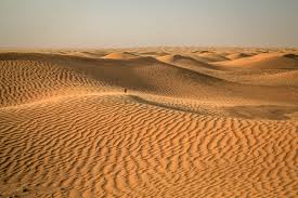 3 months ago 3 months ago. Desert Tunisia Free Photo On Pixabay