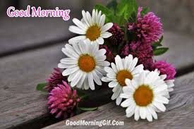 These all good morning wallpapers are hd wallpapers. Aboutme Good Morning Images With Natural Flowers