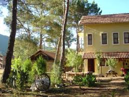 Antalya olimpos ağaç evler fiyatlar 2019. Daphne Evi Pansiyon Olimpos Antalya Pansiyonbul Pansiyon Rehberi