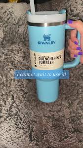 Gray Stanley Cup with Blue Writing