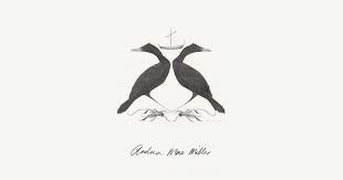 But when timaru woman irelle white saw the cover of i was a plunket baby, the book commemorating 100 years of the royal new zealand plunket society, she immediately recognised a photo on the cover. Andrea Mae Miller Fine Art Printmaker