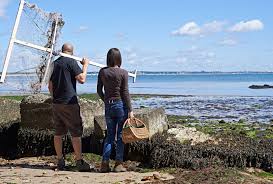 louise roscoe (@roscoeloulou)