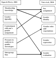 Gender Identity An Overview Sciencedirect Topics
