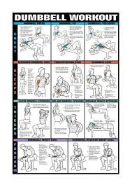 Dumbbells For Arms Workout Posters Dumbbell Workout Gym