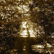 'toţi suntem trişti, spunea el. Shanyio And Loalue Sanziene By Loalue