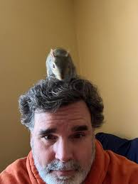 Squirrels are better than pigeons, they make vows not deals.