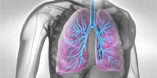 Wann aus der akuten eine chronische bronchitis wird und was sie bei kindern besonders beachten müssen, erfahren sie hier. Raucherhusten Was Sind Die Folgen