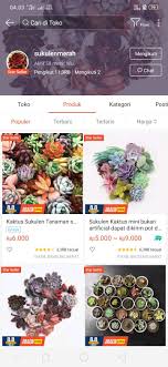 Pin Oleh Miftha Di Shopee Di 2020 Tanaman Ide Dekorasi Teknik Fotografi