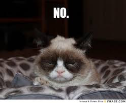 Grumpy Cat Meme Generator