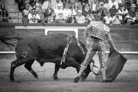 El Juli En Fallas 2014 Toros Torera Arena