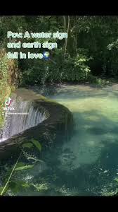 Exploring Zodiac Sign Compatibility: Water Signs vs. Earth Signs