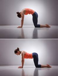 Finding lower back pain relief. Stretches For Lower Back Pain 15 Exercise For Quick Pain Relief