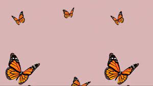 She began painting while bedridden due to a bus accident that left her seriously injured. Aesthetic Butterfly Desktop Wallpapers Wallpaper Cave