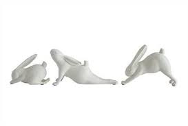 Yoga Stretching Rabbits Bunny Up Dog Yoga