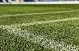 D d w l w. Vfl Buckeburg U17 Unterliegt Tsv Havelse U16 Mit 1 2 Shg Aktuell De