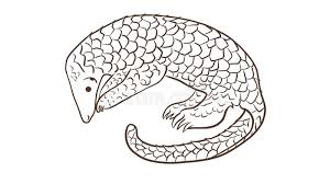 Pangolin scales, like rhino horn, have no proven medicinal value, yet they are used in traditional. Pangolin Or Scaly Anteater A Scales Covered Mammal From Tropical Areas Such As Africa And Asia Stock Illustration Illustration Of Tropical Wild 174128327