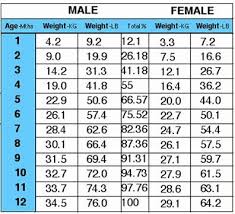 Standard Poodle Puppy Weight Growth Chart Www