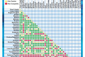 African Cichlid Compatibility Chart Visual Ly