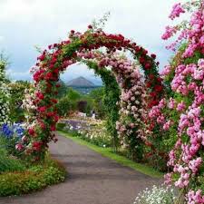 Pretty Flower Garden Garden Images Beautiful Flowers Garden Flower Garden