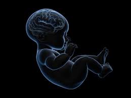 What we do know is that smoking is caused by anxiety and stress and also an oral fixation. How Marijuana Exposure Affects Developing Babies Brains Science In The News