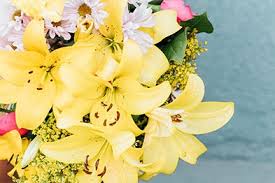 Hours may change under current circumstances Up To 40 Off With 1800flowers Promo Codes Coupons 2021