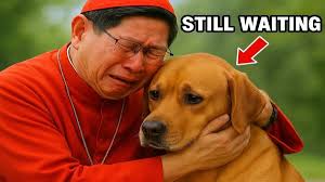 Fact Check: Videos alleging Pope Francis' loyal dog wouldn't leave his  side, even in death, are AI-generated