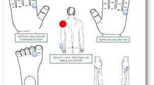 Move That Frozen Shoulder With Sujok Frozen Shoulder Interesting Health Facts Acupressure Points