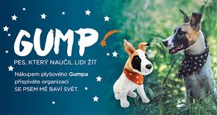 2021 ( bioscop) příběh psí pravdy, lásky a naděje. Bambule Cz Gump Pes Ktery Naucil Lidi Zit Milled