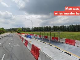 About a week ago, a shocking news hit the headlines: Police Investigate Murder Of 38 Year Old Man Found Injured Along Punggol Field