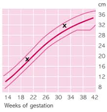 Unborn Baby Growth Chart Bedowntowndaytona Com