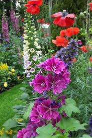Backyard Flower Garden Last Years Dream Garden Turned Out To Be A Dud Idees De Jardin Fleur Jardin De Printemps Jardins De Vivaces