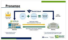Com o custeio caixa as cooperativas adquirem crédito para insumos como mudas como funciona. Ampliacao De Carencia Do Pronampe Ja Esta Disponivel Na Caixa Cachoeira Do Sul E Regiao Em Tempo Real