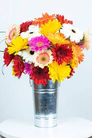 Check spelling or type a new query. 15 Best Online Flower Delivery Services 2021