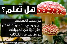 من حيث الت صنيف البيولوجي الفطري ات تعتبر أكثر قرب ا من الحيوانات من قربها من الن باتات Easy Science Science Facts Science