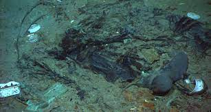 One of the 29 missing crewmen. Human Remains Embedded In Mud At Titanic Shipwreck Site Creepy