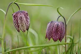 Rezultate pentru asadar în toate tipurile de citate, în ordinea vezi epigrame despre încălţăminte, epigrame despre poezie sau epigrame despre cunoaştere. Viagra Mg 50mg 25mg Ohne Rezept Kaufen Preise Und Feedback Ab Wie Vielen Jahren Kann Man Viagra Kaufen