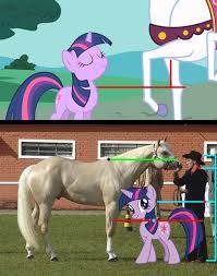 487561 analysis edit edited screencap height horse