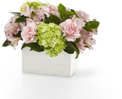Florist Fresh Flowers Flower Delivery Lawton Ok