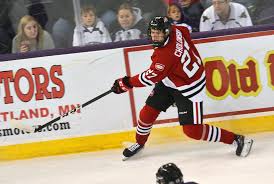 Cholowski was drafted 20th overall by the red wings in the 2016 nhl entry draft Dennis Cholowski Men S Ice Hockey St Cloud State University Athletics