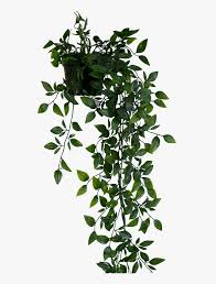 We did not find results for: Hanging Plant Png Png Download Floating Shelf With Plant Transparent Png Kindpng