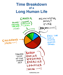 how to pick a career that actually fits you wait but why